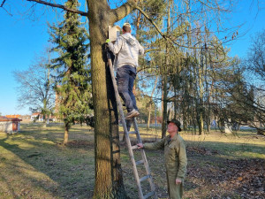 Sýkorkám či vrabcům budou na území prvního obvodu sloužit desítky nových budek