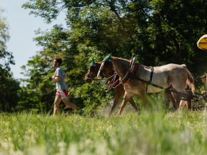 Veverkova 741/25 Praha 7