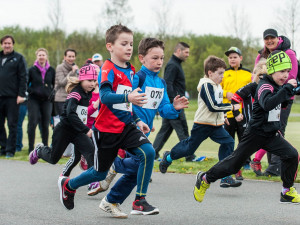 Krajský půlmaraton Plzeňského kraje se blíží!