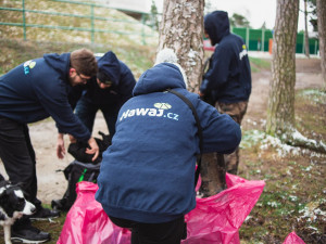 Do boje s odpadky u rybníku Kameňák vyrazili místo teambuildingu zaměstnanci e-shopu Hawaj.cz