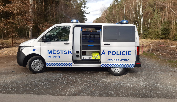 Strážníkům bude k odchytu zvířat sloužit nový vůz, ročně absolvují přes 600 výjezdů, mnohdy jde o velmi kuriózní případy