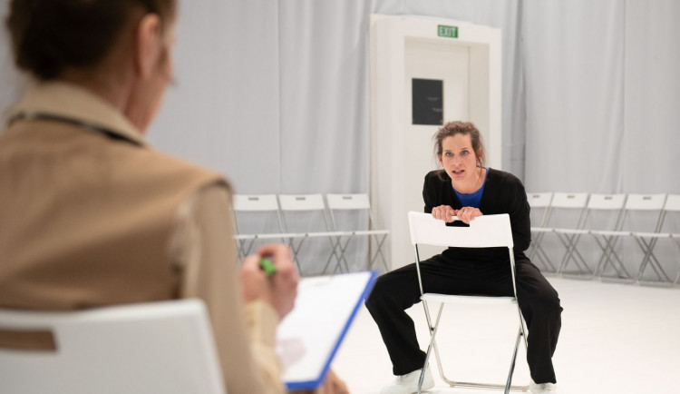 Divadlo J. K. Tyla uvede v premiéře slavnou hru o herečce, která propadne drogám a alkoholu