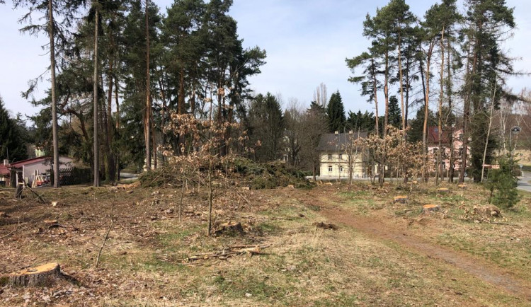 Pět set nových listnatých a jehličnatých stromků omladí zdecimovaný park v Konstantinových Lázních