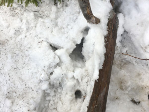 Takto našel ztracený trůn Petr Kalabza