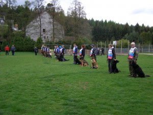 Eso mezi stopaři je služební pes Hektor. S policejním psovodem Petrem Zifčákem sbírá jednu trofej za druhou