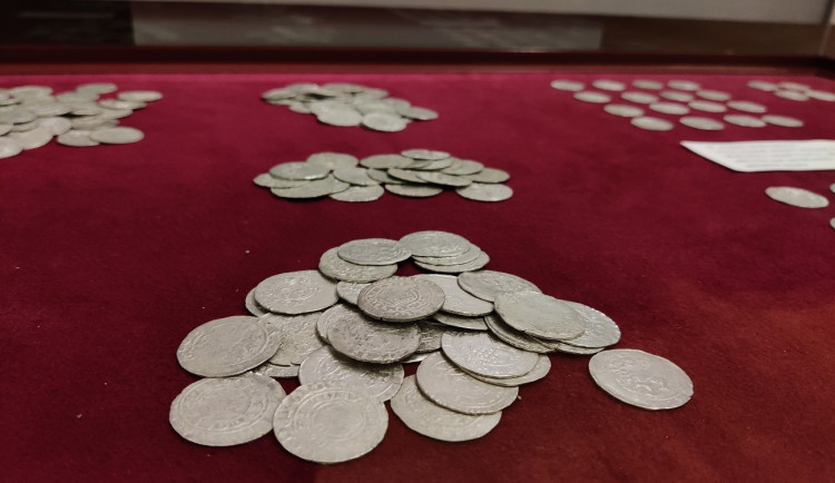 Pejskaři našli při procházce lesem stovky mincí z doby Karla IV., lidé teď mají jedinečnou šanci poklad spatřit