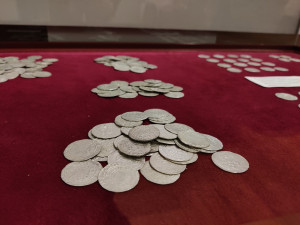 Pejskaři našli při procházce lesem stovky mincí z doby Karla IV., lidé teď mají jedinečnou šanci poklad spatřit