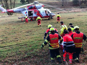 Záchranáři zasahovali u další nehody při kácení stromů, muž utrpěl velmi vážné zranění