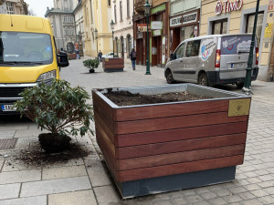 Opilí vandalové, kteří zdemolovali zeleň v centru Plzně se přihlásili na policii. Škodu si už brzy odpracují