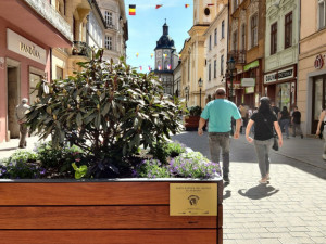Takto krásně vypadají v létě velké květníky ve Smetanových sadech
