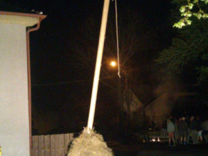 Jehla v kupce sena z roku 2014