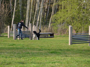 Obávané nocležiště bezdomovců plné černých skládek se proměnilo v nový park za 18 milionů korun