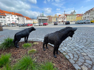 Velmi populární jsou v Klatovech sochy dvou hyen