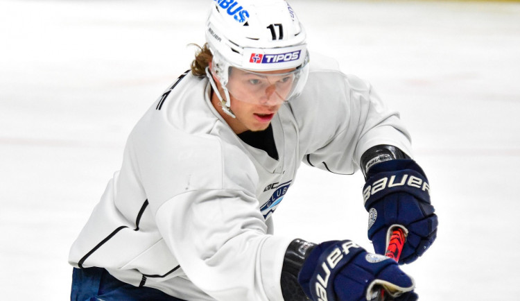 Do obrany hokejové Plzně přichází posila ze Slovenska, mohl by to být další Čerešňák, věří vedení klubu