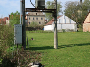 Čapího samce zabil elektrický proud. Bez něj nemá samice šanci mláďata uživit