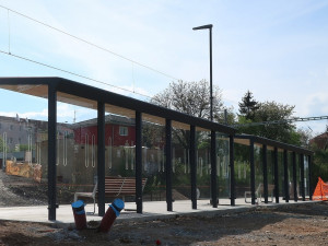 Prosklené zastávky hromadné dopravy zabijí ročně tisícovky ptáků, problém někteří projektanti vůbec neřeší