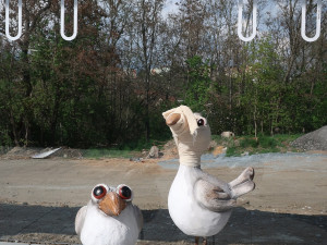 Prosklené zastávky hromadné dopravy zabijí ročně tisícovky ptáků, problém někteří projektanti vůbec neřeší