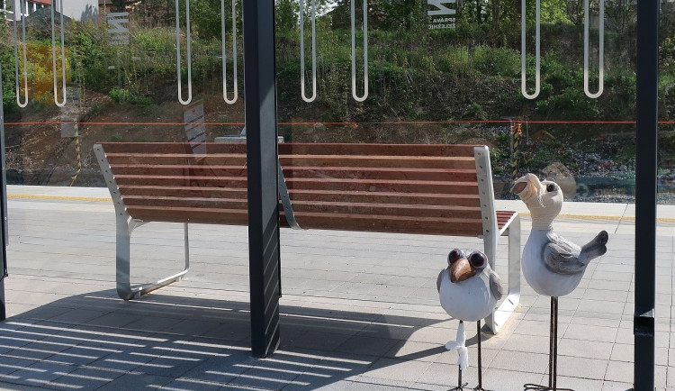 Prosklené zastávky hromadné dopravy zabijí ročně tisícovky ptáků, problém někteří projektanti vůbec neřeší