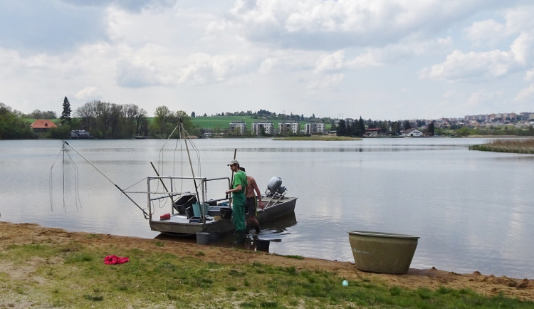 Odborníci pomocí elektřiny vylovili z Boleváku a Kameňáku plevelné ryby, voda je díky tomu kvalitnější