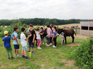 TADY A TEĎ_Volnočasový klub Placka