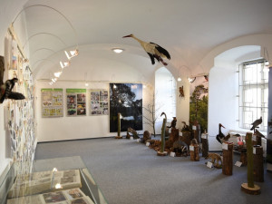 Pomáhají životnímu prostředí i raněným živočichům, ochránci přírody slaví 40 let svého působení na Rokycansku