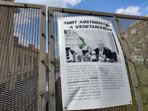 Most rebela Magora Jirouse obsadila výstava věnována Zemanovi a jeho příspěvkům na poli umění