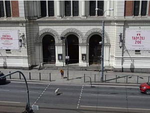 Zmatená ovce pobíhala po rušné komunikaci v centru Plzně, pronásledovali ji strážníci městské policie