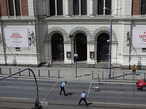 Zmatená ovce pobíhala po rušné komunikaci v centru Plzně, pronásledovali ji strážníci městské policie