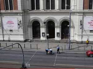 Zmatená ovce pobíhala po rušné komunikaci v centru Plzně, pronásledovali ji strážníci městské policie