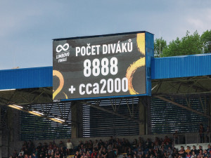 FC Viktoria Plzeň/Jan Kubíček