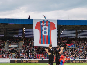 FC Viktoria Plzeň/Jan Kubíček