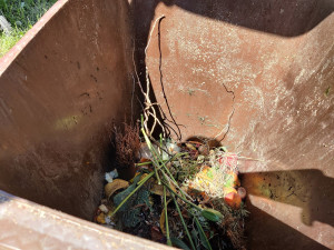 S bioodpadem by se mělo nakládat smysluplně, přesto obsah hnědých popelnic končí na skládce