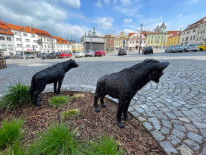 Velmi populární jsou v Klatovech sochy dvou hyen