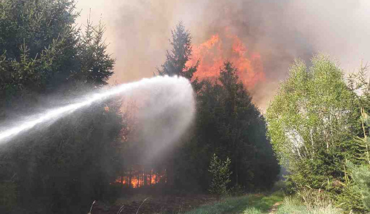 Vědci z Brna varují před častějšími lesními požáry. Může za ně klima a bezohlední lidé