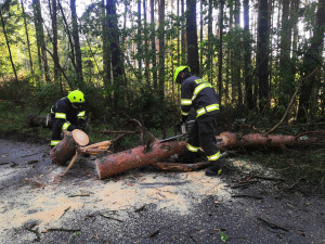 foto: Hasiči města Dobřany