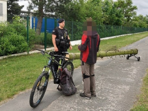 Muž s elektrokolem bizarním způsobem transportoval pětimetrovou kládu ukradenou v městském parku