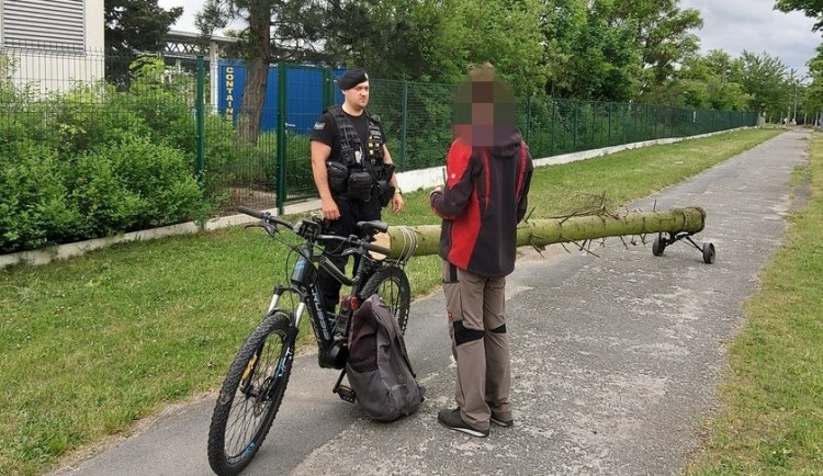 Muž s elektrokolem bizarním způsobem transportoval pětimetrovou kládu ukradenou v parku