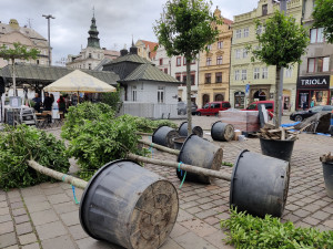 Na snímku nejsou zachycení vandalové, kteří v březnu květináče poškodili.