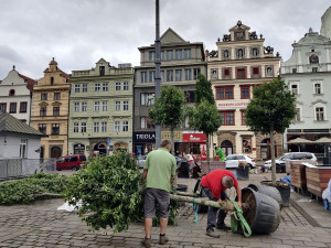 Na snímku nejsou zachycení vandalové, kteří v březnu květináče poškodili.