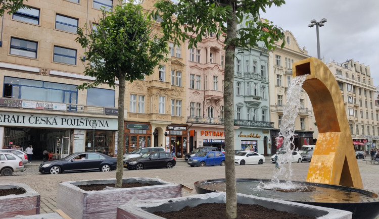 Plzeňské náměstí zdobí 12 habrů v obřích květináčích, za trest je pomáhala sázet i dvojice vandalů