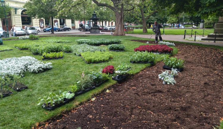 Centrum Plzně rozzáří tisícovky letniček, zahradníci vysází 24 druhů pestrobarevných rostlin