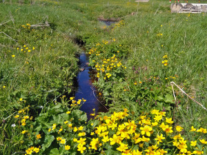 Malebné Zhůří láká turisty v každém ročním období