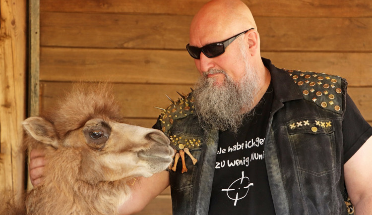 Velbloudě z plzeňské zoo má za kmotry německou heavymetalovou skupinu Rage