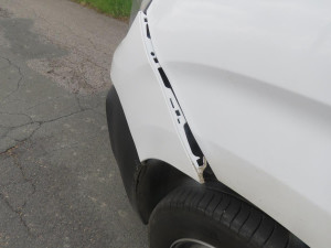 Střetů se zvěří dramaticky přibývá, policisté už řešili přes 60 nehod, nejčastěji jde o sražené srnky