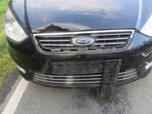 Střetů se zvěří dramaticky přibývá, policisté už řešili přes 60 nehod, nejčastěji jde o sražené srnky