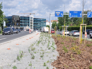 Po úpravách za 3, 3 milionu už se začíná zelenat středový pás podél nejfrekventovanější komunikace v Plzni