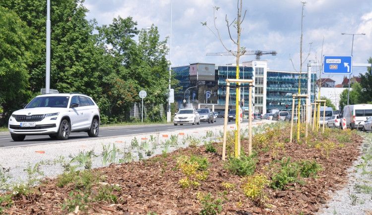 Po úpravách za 3, 3 milionu už se začíná zelenat středový pás podél nejfrekventovanější komunikace v Plzni