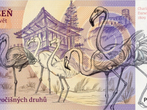 Plzeňská zoo se pochlubila novými sběratelskými bankovkami, zobrazují úspěšné odchovy i erbovní plameňáky