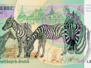 Plzeňská zoo se pochlubila novými sběratelskými bankovkami, zobrazují úspěšné odchovy i erbovní plameňáky