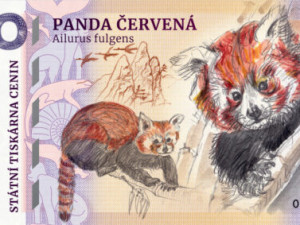 Plzeňská zoo se pochlubila novými sběratelskými bankovkami, zobrazují úspěšné odchovy i erbovní plameňáky